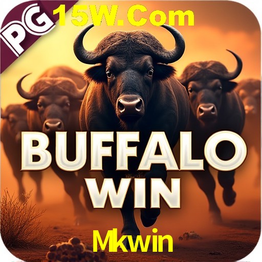 Mkwin Rio de Janeiro - Bonus Terms